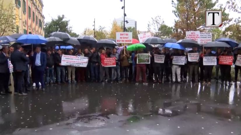 Protestat, aktivistët: Mungon organizimi dhe ka presion politik (VIDEO)