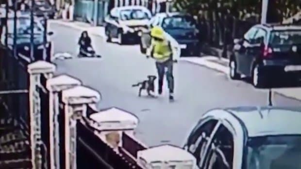 Qeni është gjithmon besnik, shpëton gruan nga hajduti (VIDEO)