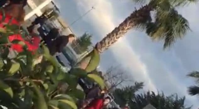 Presin Ramën me protesta në Rinas, arrestohen 2 anëtare të këshillit Bashkiak të Tiranës 
