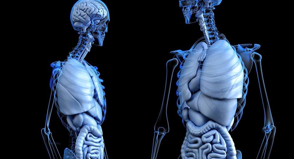 Shkencëtarët rusë hedhin një hap të rëndësishëm në fushën e transplanteve