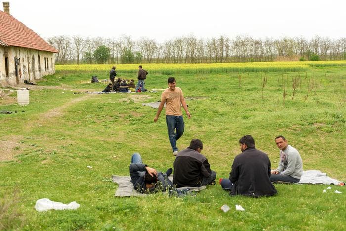 Serbi, bie numri i emigrantëve