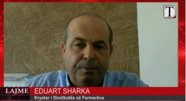 Sharka: Grantet i përfitojnë fermerët me kollare (VIDEO)