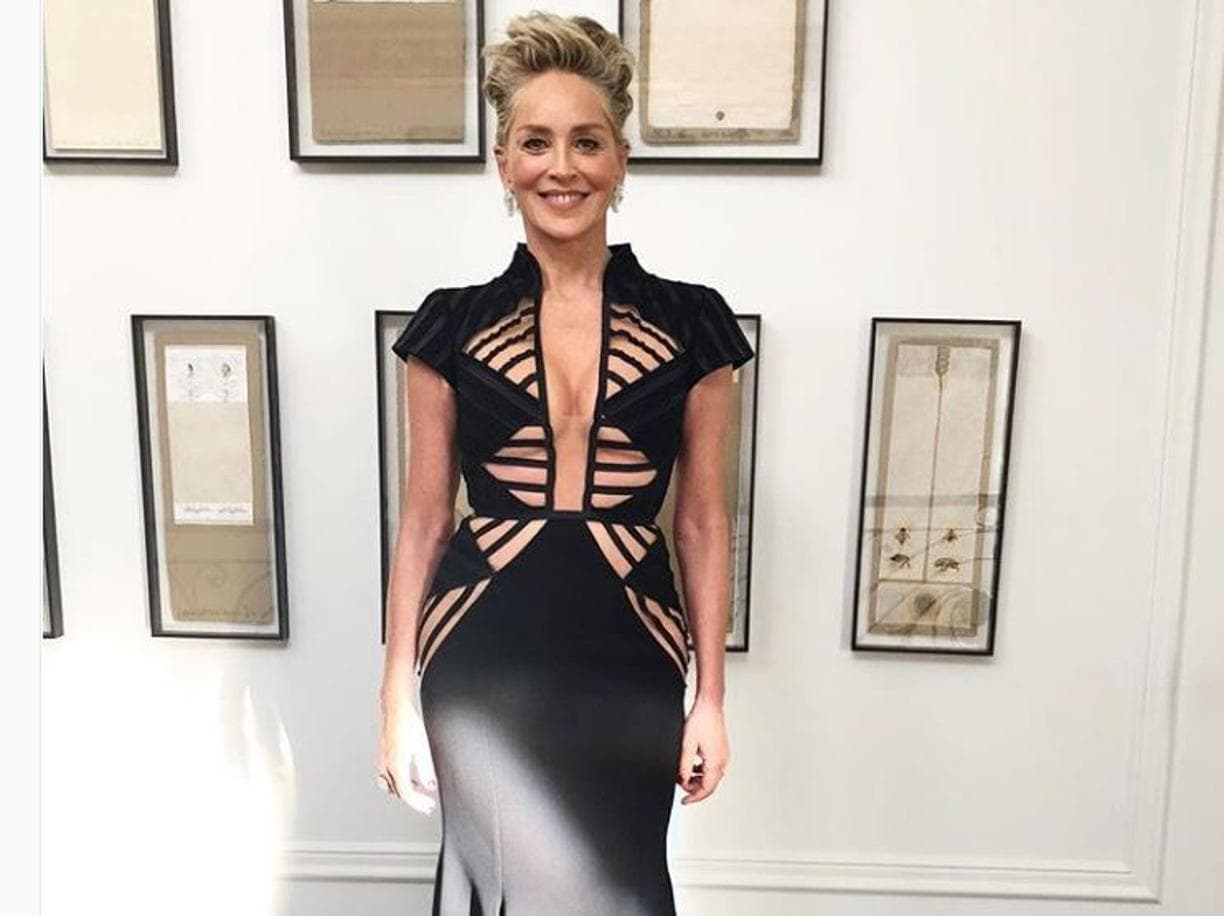 Sharon Stone rrëfen sëmundjen që e la të paralizuar: Nuk shkruaja dot emrin tim