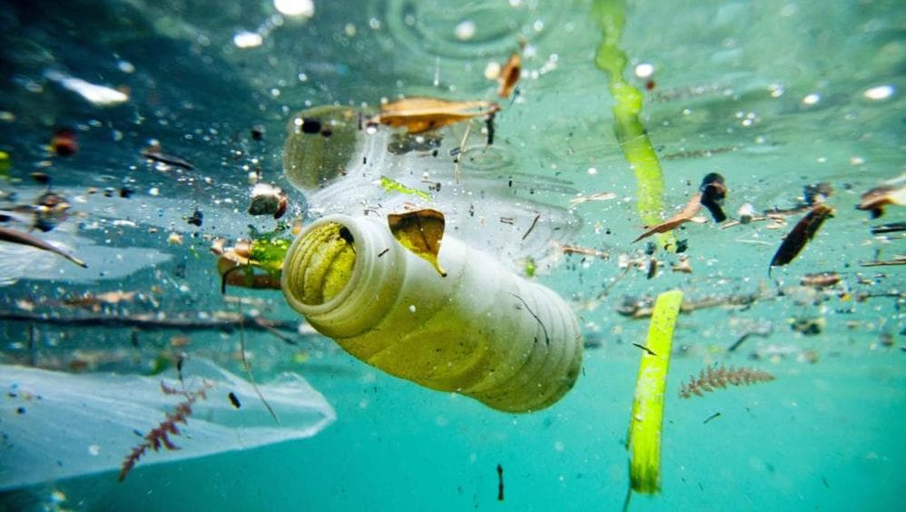 Stop ambalazheve plastike një përdorimshe! Një milion firma për të mbrojtur detet