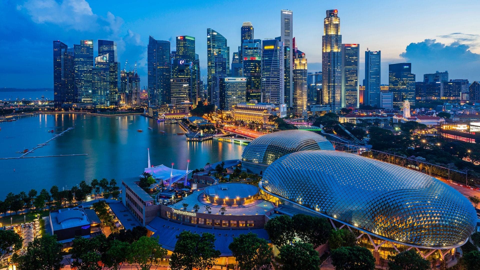 Singapor, në qarkullim autobusët me çati të gjelbër (VIDEO)