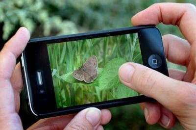 Si mund t’i shërbejë smartphone-i yt natyrës?