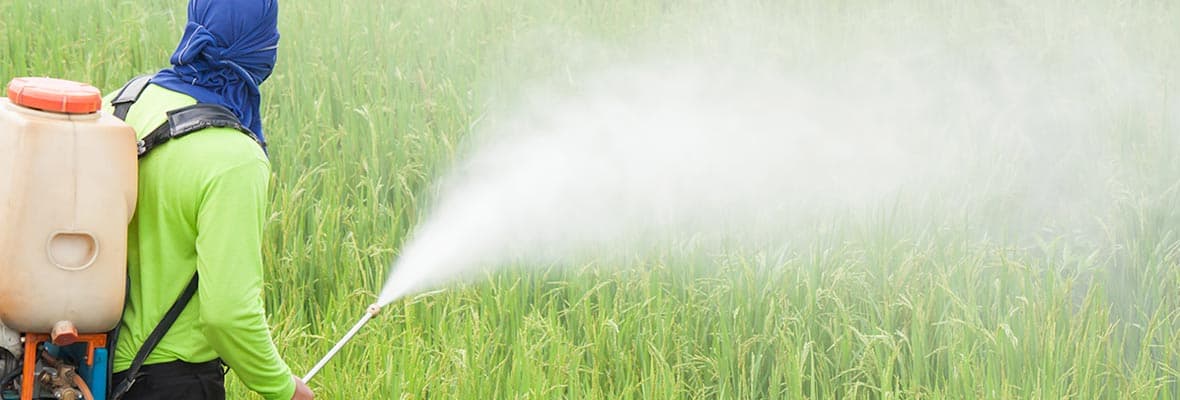 Spanja, përdoruesi më i madh i pesticideve në Europë (VIDEO)