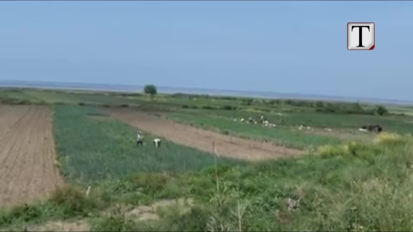 Prodhimi nga toka, larg pritshmërisë së qeverisë (VIDEO)