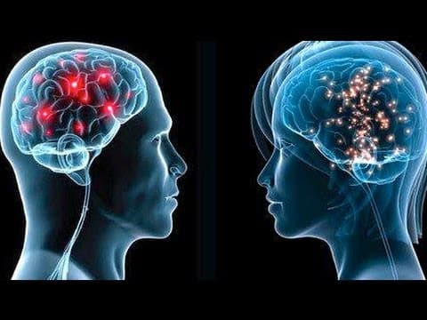 Studimi: Truri i femrave është më aktiv se ai i meshkujve