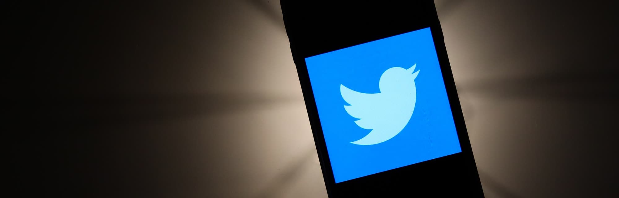 Epilepsia, Twitter ndalon animacionet feksëse