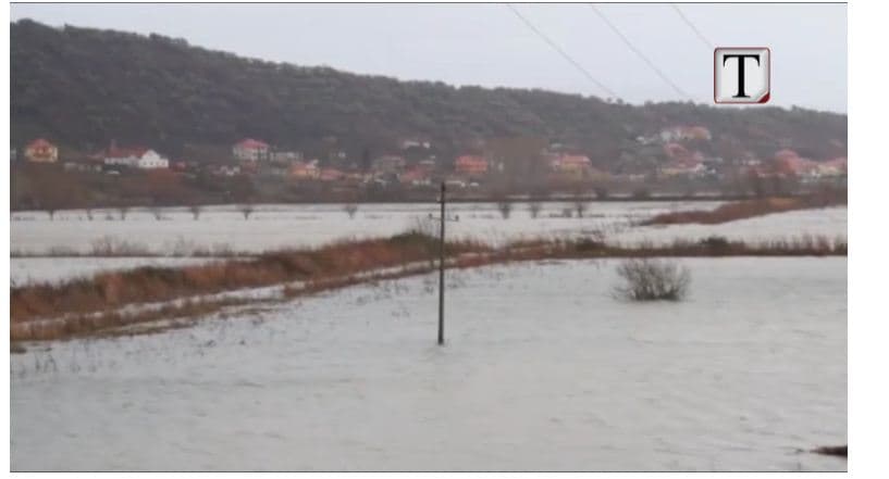 Përmbytjet, lumenjtë dalin nga shtrati, evakuuohen disa familje (VIDEO)