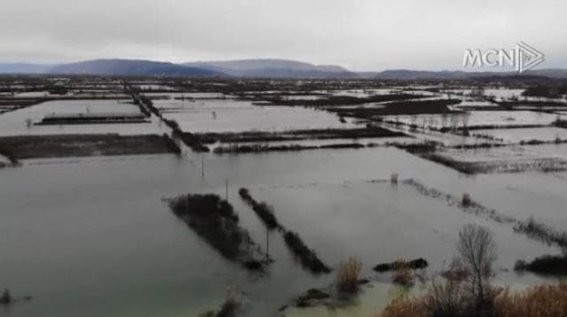 Situatë kritike, kryebashkiakja e Shkodrës paralajmëron emergjencë lokale (VIDEO)