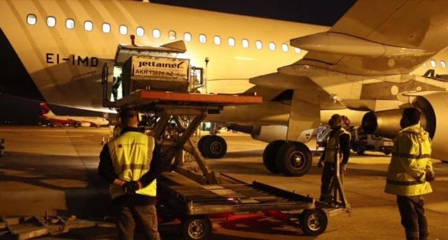Vaksina më e re kundër gripit, mund ta bëni edhe vetë (VIDEO)