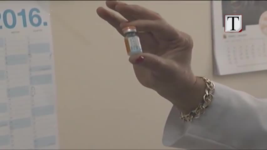 Rastet e fruthit në Shqipëri, ISHP: Nuk ka vend për panik (VIDEO)
