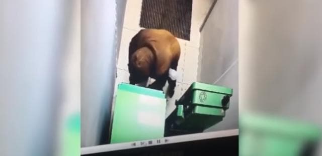 ATM kap superhajdutin e bankomateve