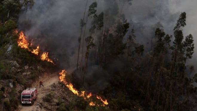 Pas temperaturave të larta, Portugalia dhe Spanja digjen nga zjarret