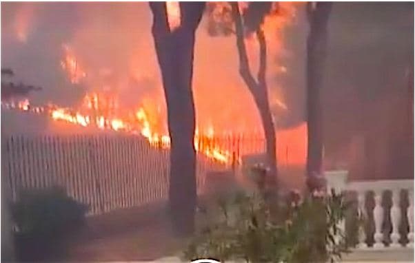 Shokuese, momentet e përhapjes së flakëve që shkrumbuan Matin në Greqi në kohë rekord (VIDEO)