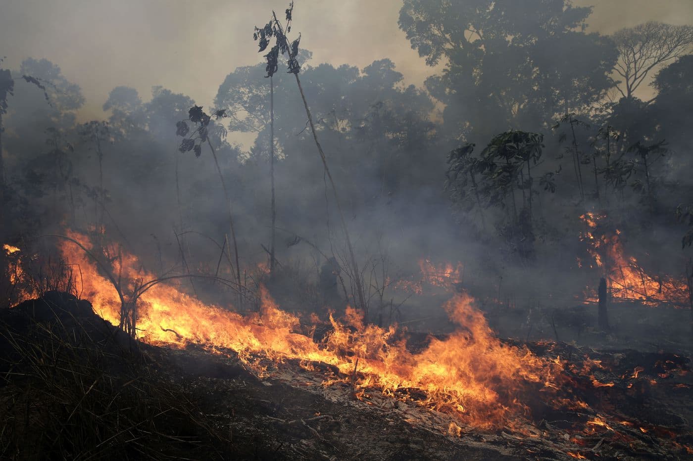 Brazil, moratorium kundër zjarreve për tokë bujqësore (VIDEO)