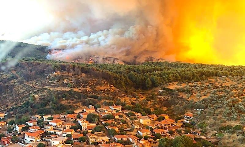 Greqi, flakët shkrumbojnë pyjet në ishullin Evia (VIDEO)
