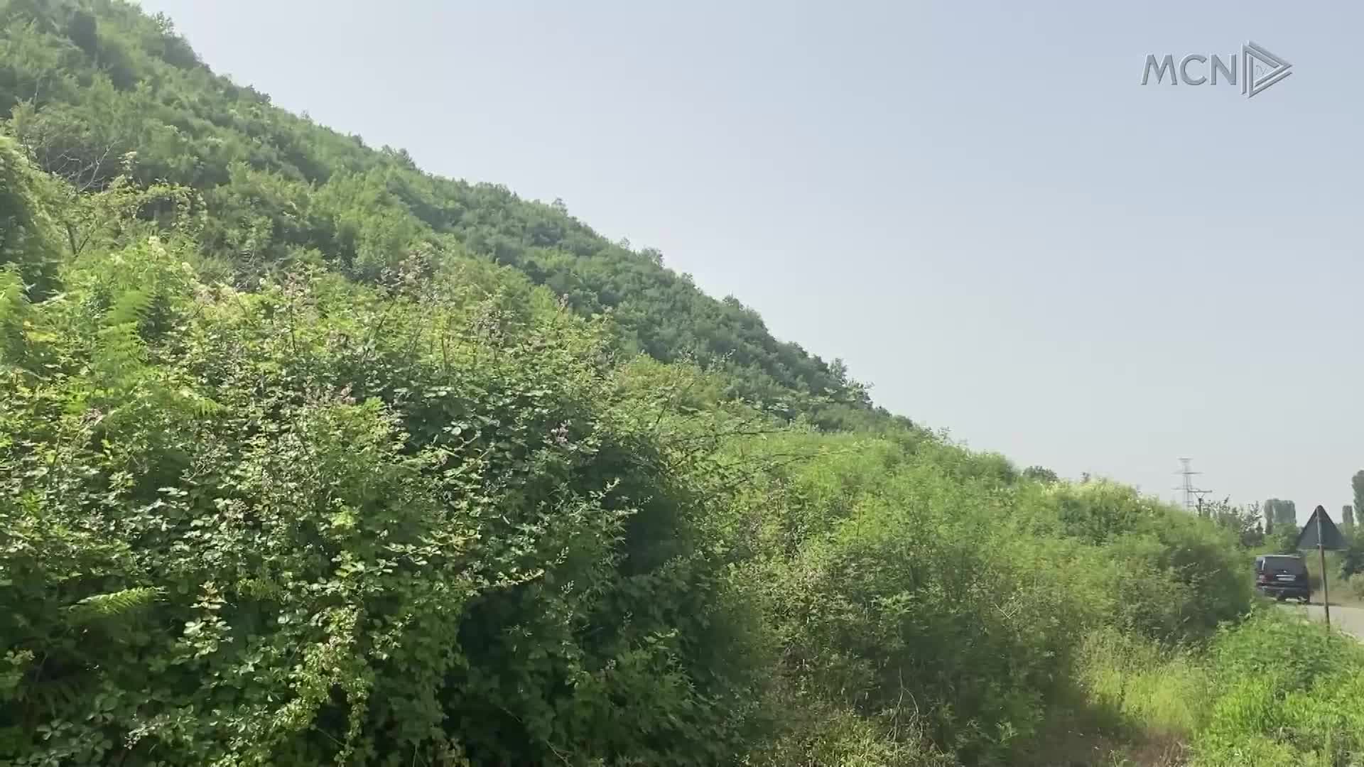 Temperaturat e larta rrezik për pyjet (VIDEO)