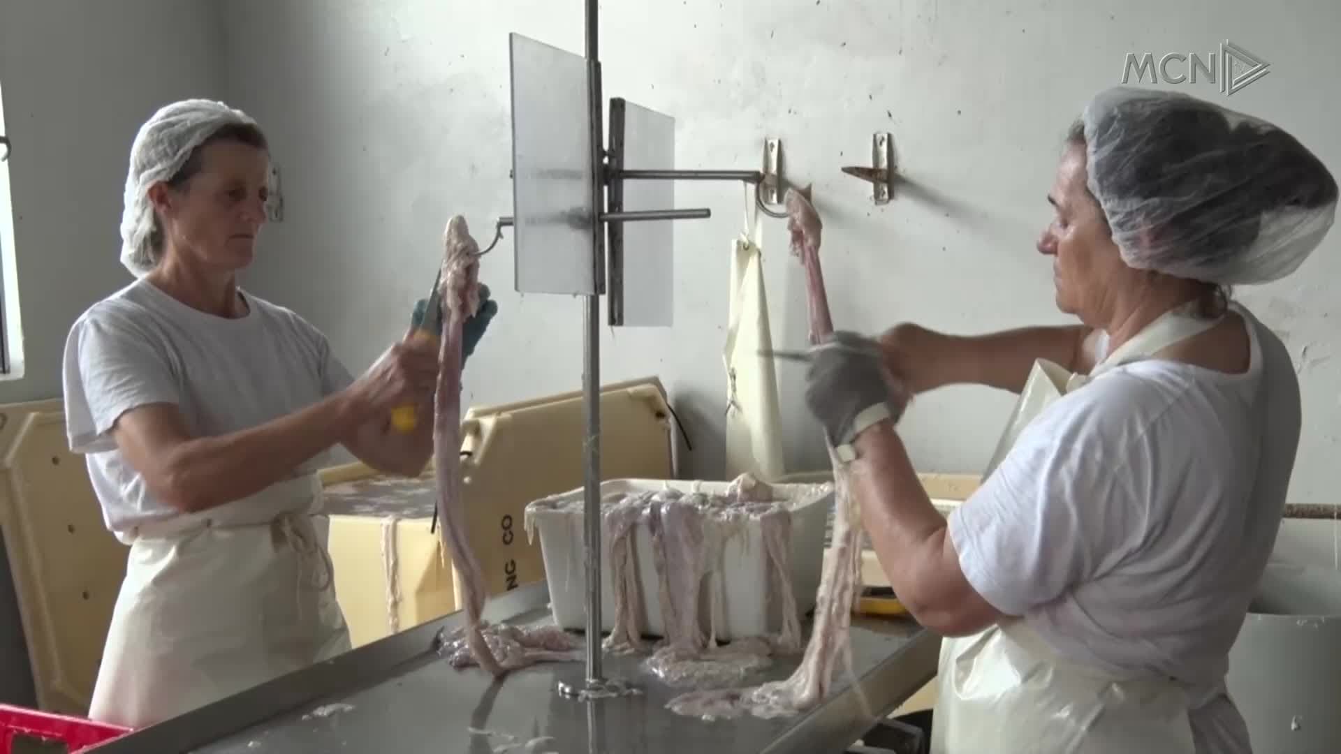Vijnë punëtorët nga Bangladeshi (VIDEO)
