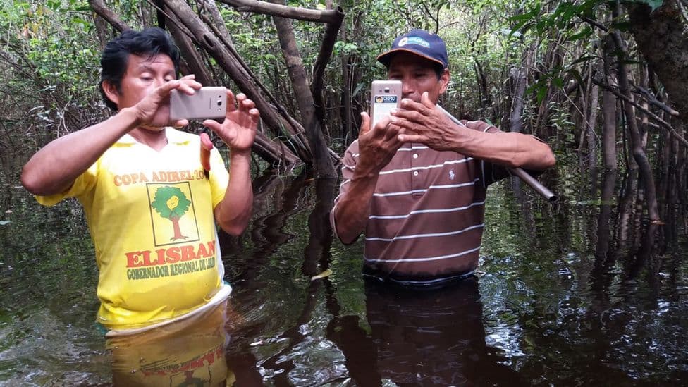 Teknologjia, një mënyrë e re për të ruajtur pemët në Amazonë