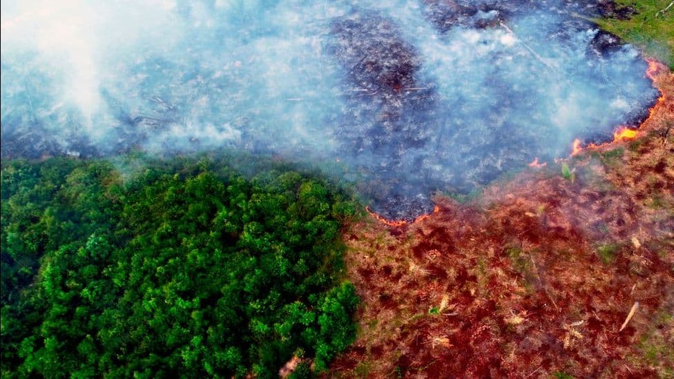 Rajonet e Amazon lëshojnë më shumë karbon sesa thithin
