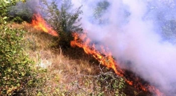 Zjarr në sipërfaqe të mbjella dhe mbeturina, një në pranga, procedohet një tjetër