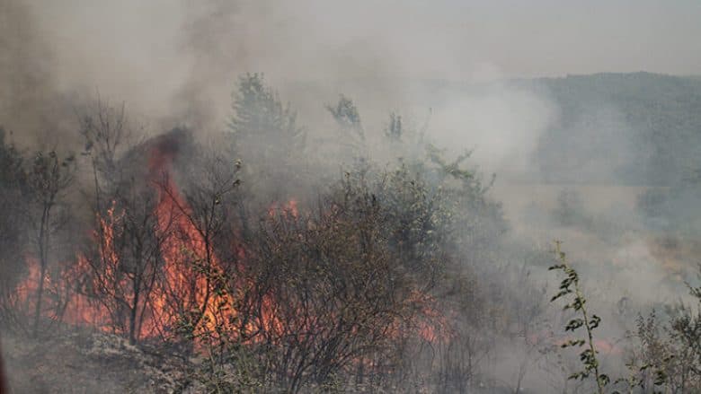 Zjarrvënie e qëllimshme në Durrës/ Një i arrestuar, një tjetër në kërkim