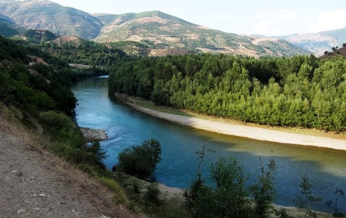 Emrat/ Mbushën bregun e lumit Drin me kanabis, në pranga 4 persona