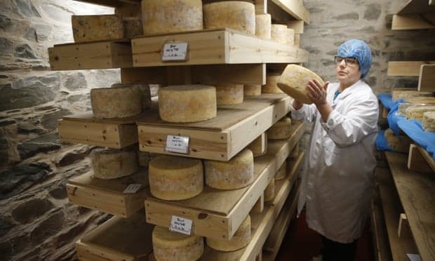 Brexit, eksportet e ushqimit dhe pijeve në BE pësojnë rënie “katastrofike”