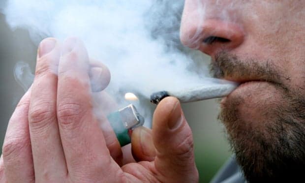 Luksemburgu vendi i pari në Evropë që legalizon kultivimin e kanabisit në shtëpi