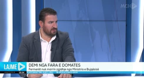 Dështimi i fermerëve me farën e domates “Ozgan”, Resuli: Dëmi llogaritet 1,8 milionë euro!