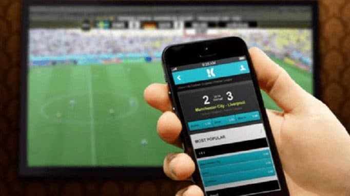 Vinin baste online në lokale, procedohen tre persona në Berat