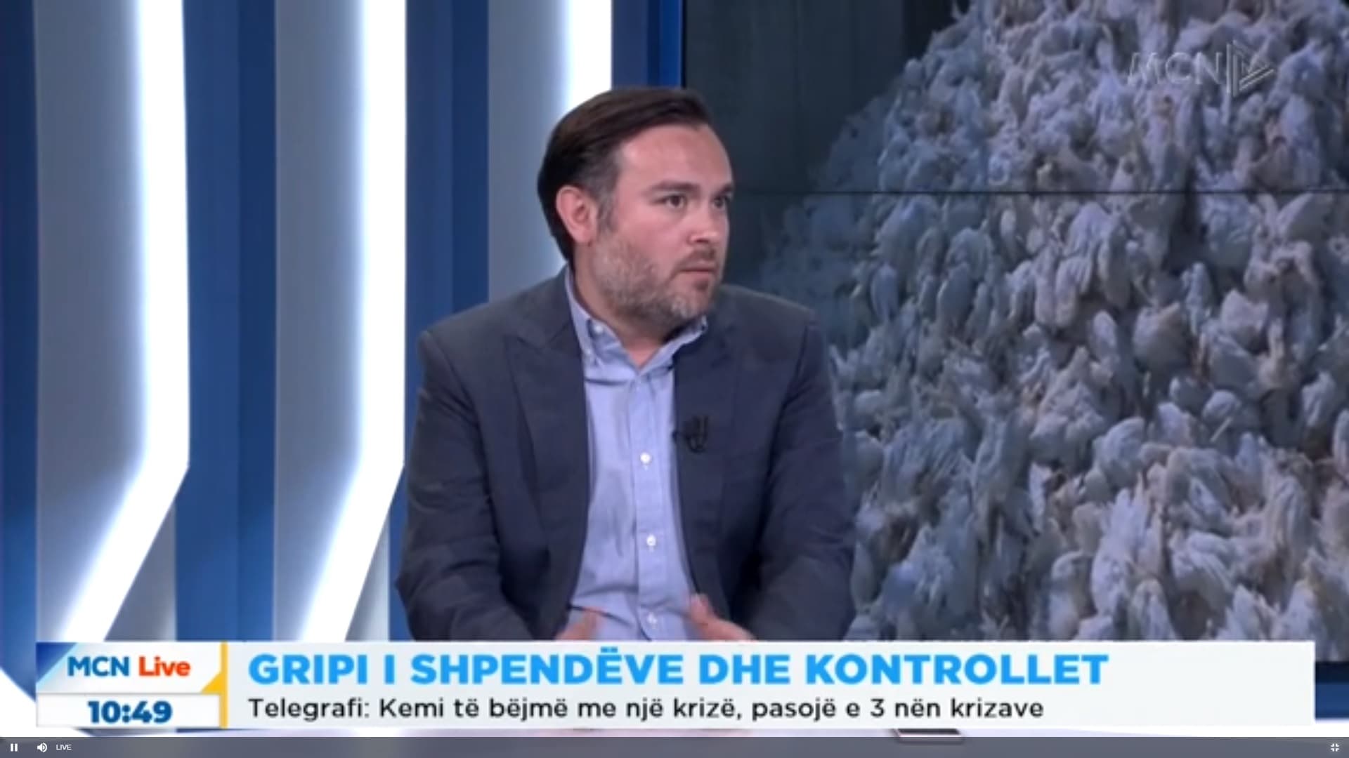 Telegrafi: Pos gripit të shpendëve, kemi krizën e menaxhimit të situatës dhe krizën ekonomike (VIDEO)