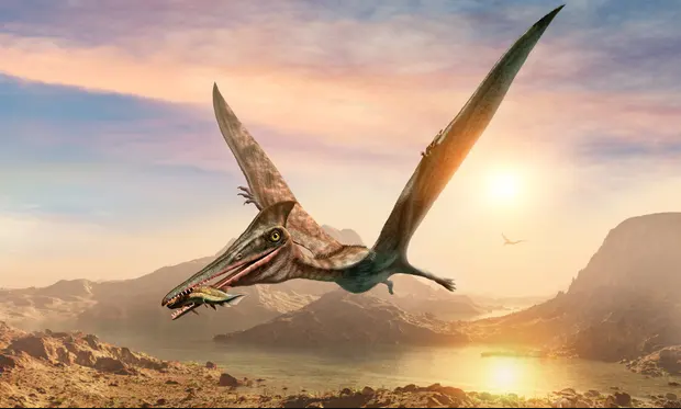 Shkencëtarët zbulojnë varreza të lashta në Kili me eshtra të pterosaurëve