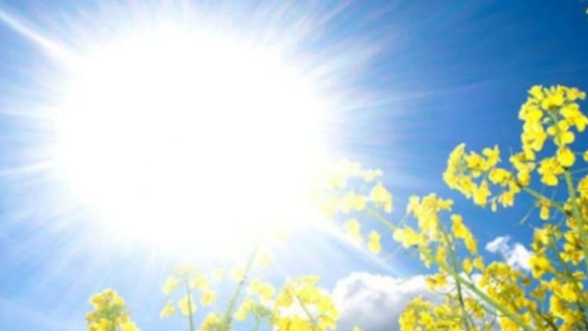 Rriten sërish temperaturat, njihuni me parashikimin e motit për sot