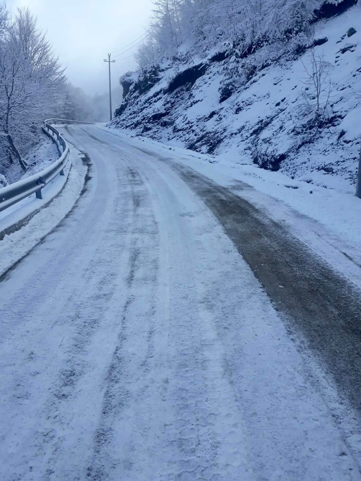 Rikthehet bora në Dardhë