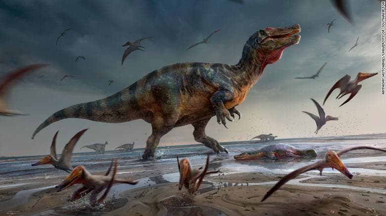 Zbulohen mbetjet e një prej dinosaurëve grabitqarë më të mëdhenj të Evropës