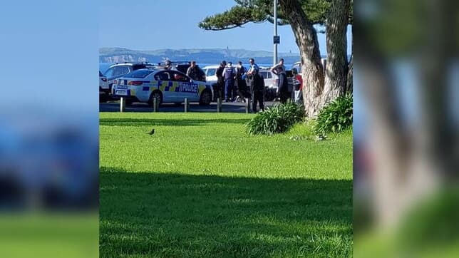 Një person në Zelandën e Re godet me thikë kalimtarët në plazh, 4 të plagosur