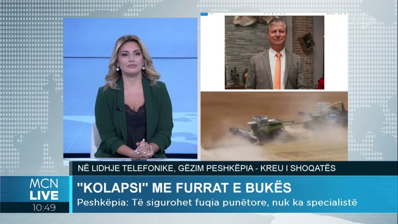 Kolapsi me furrat e bukës/ Peshkëpia: Të mos ketë pengesa në importimin e lëndës së parë (VIDEO)