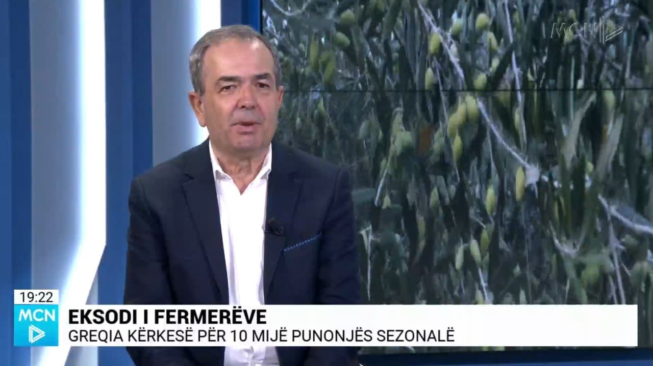 Punësimi sezonal, Rrapaj: Nuk sjell të ardhura të mëdha, nëse përdorim mekanizimin në vjelje fenomeni do zvogëlohet (VIDEO)