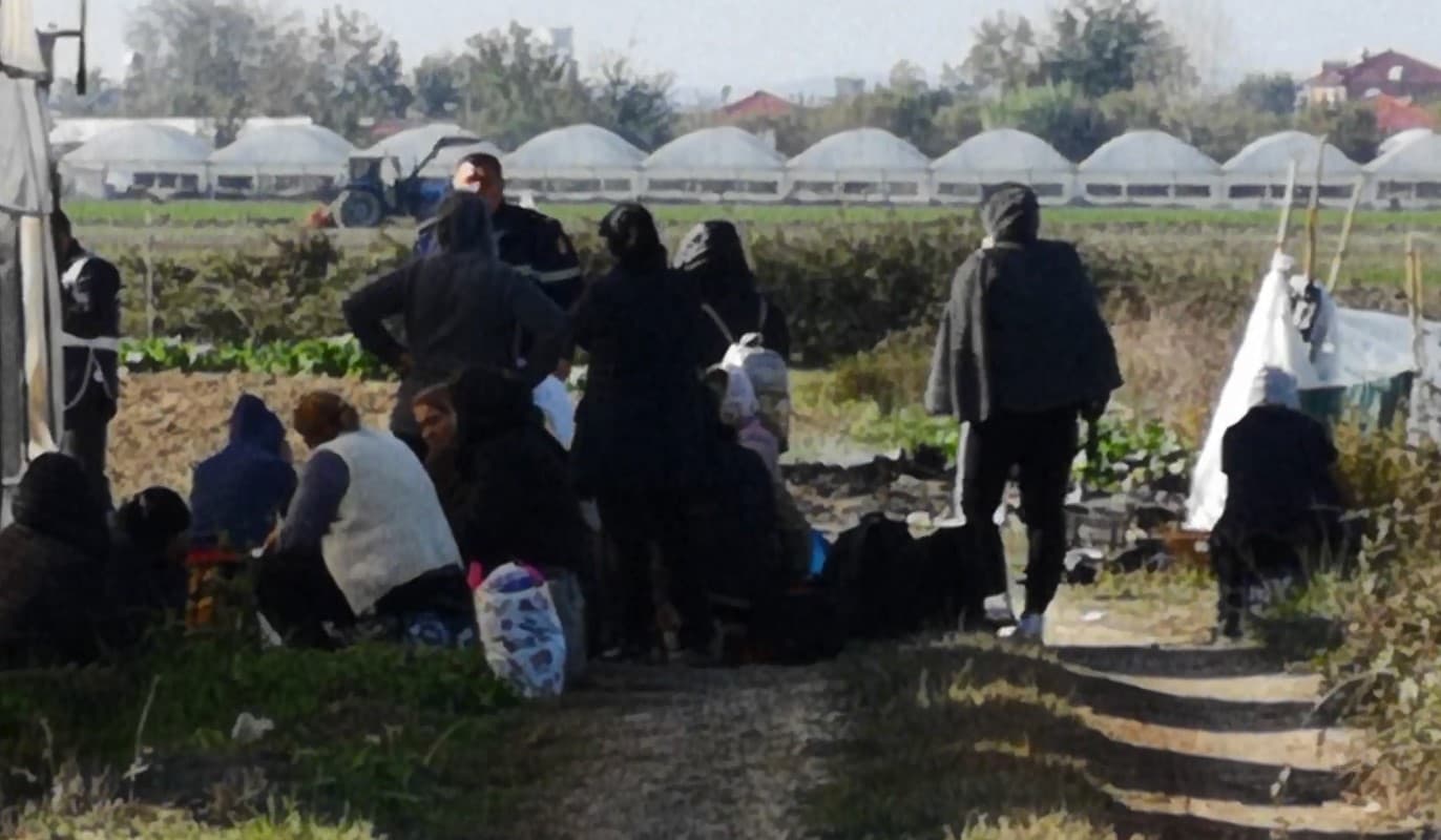 Rrumbullaku shkarkon 7 punonjës të policisë Berat për serën me kanabis, tre drejtues/ Emrat