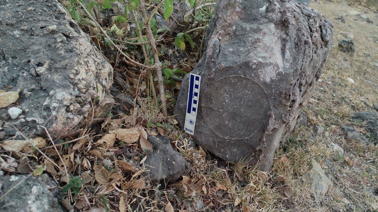 Paleontologët zbulojnë detaje rreth jetës së disa prej dinosaurëve më të mëdhenj