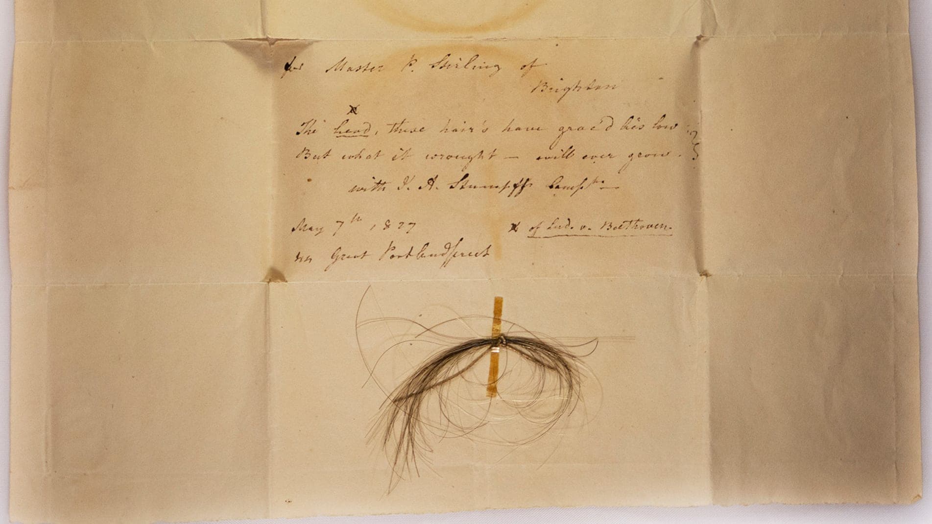 Flokët e Beethoven zbulojnë një histori sekrete familjare dhe probleme shëndetësore