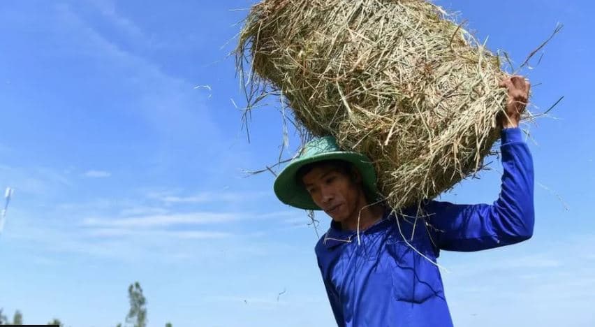 I nxehtë rekord në Vietnam, regjistrohet mbi 44 gradë