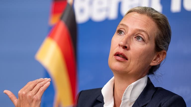 Rritet e djathta në Gjermani, AfD: Jemi forcë e mirëfilltë politike