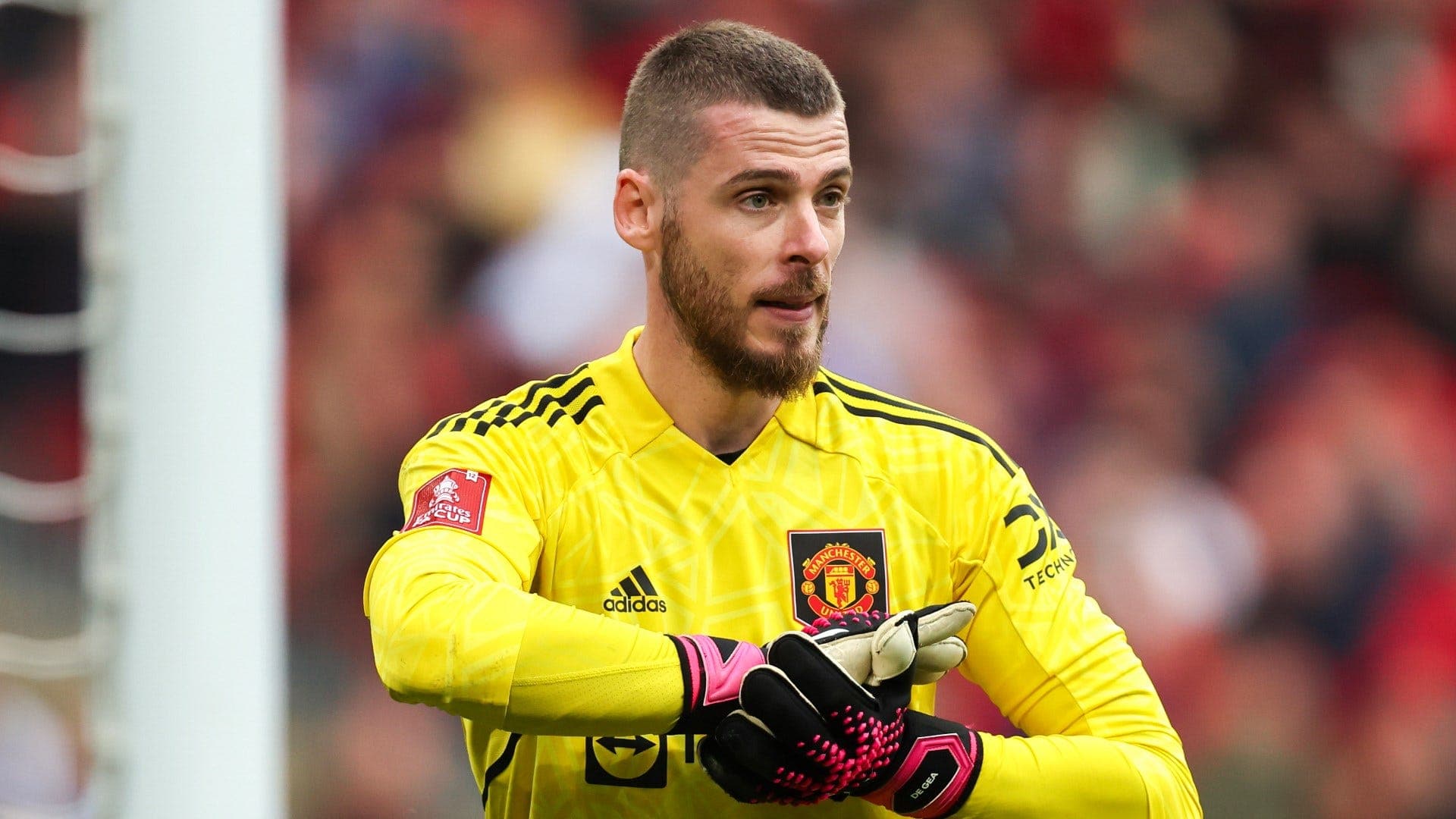 Manchester United pretendon rikthimin e De Geas