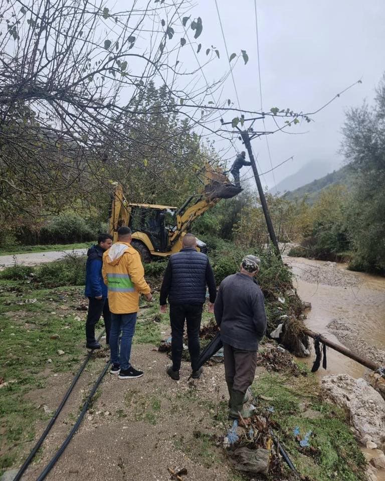 Reshjet e shiut, situata normale në pjesën më të madhe të qarqeve/ Zonat me probleme