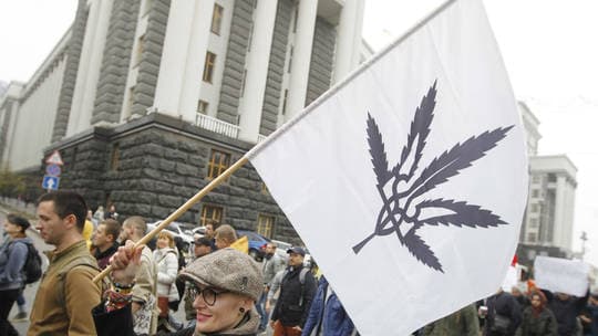 Ukraina legalizon marijuanën mjekësore